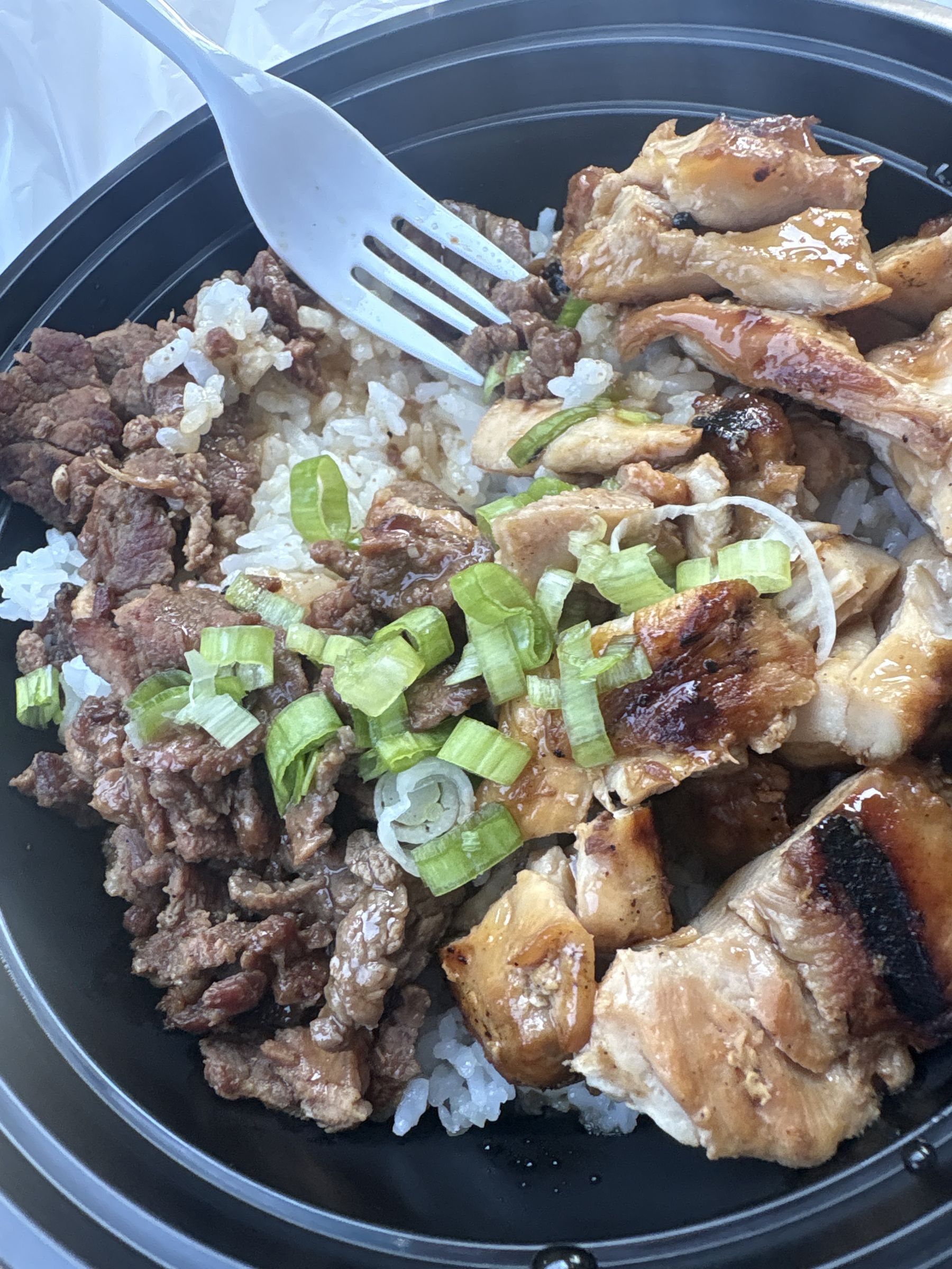 Chicken and beef teriyaki side by side in one bowl